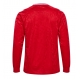 Danemarca Tricou Fotbal Replică European 2024 Barbati Acasa Mâneci Lungi